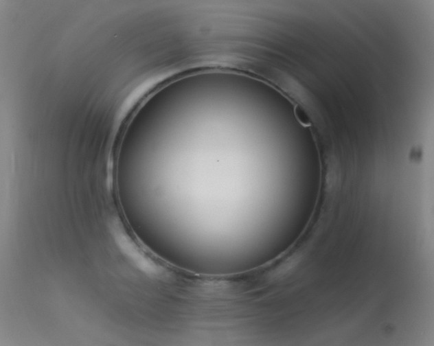 X0000113240940200909171559