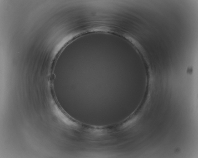 X0000113240941200909171559