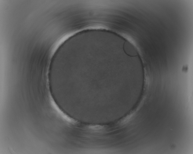 X0000113240943200909171559