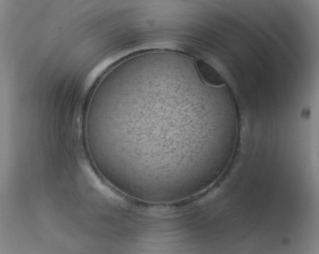 X0000113240944200909171559