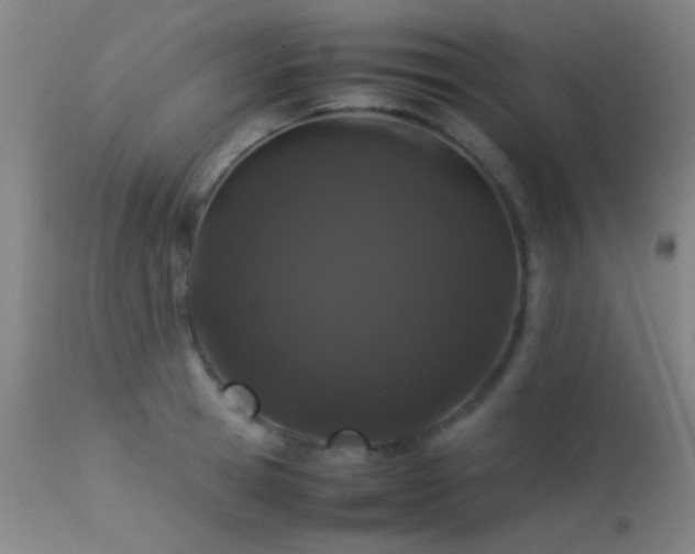 X0000113240945200909171559