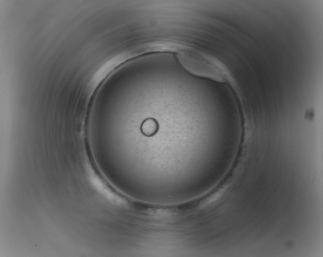 X0000113240946200909171559