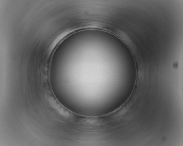 X0000113240948200909171559