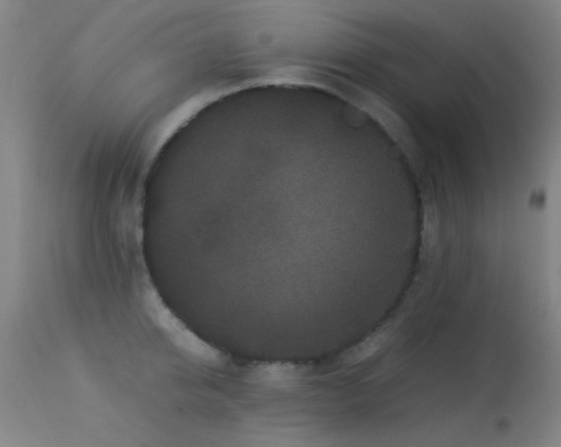 X0000113240950200909171559