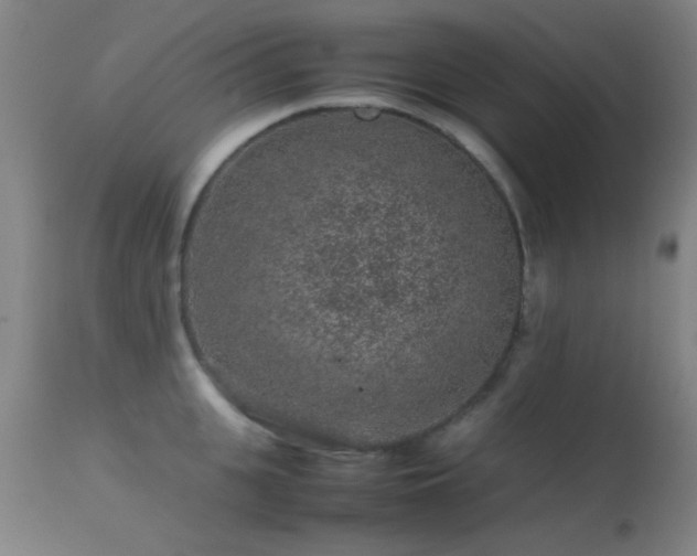 X0000113240951200909171559