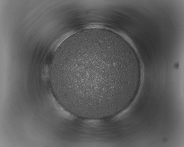 X0000113240953200909171559