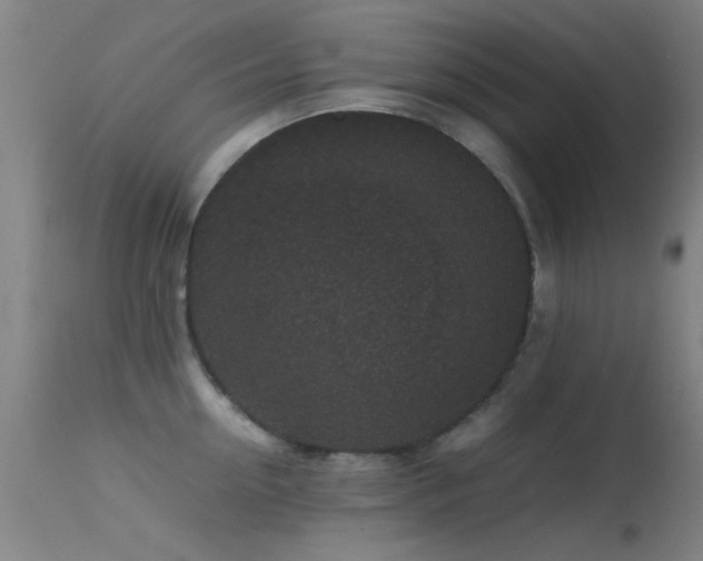 X0000113240954200909171559