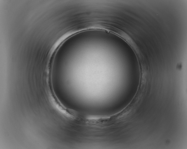 X0000113240955200909171559