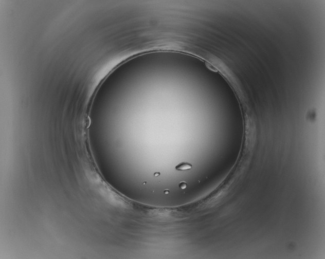 X0000113240956200909171559