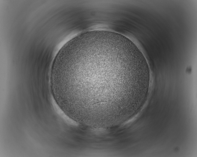 X0000113240957200909171559