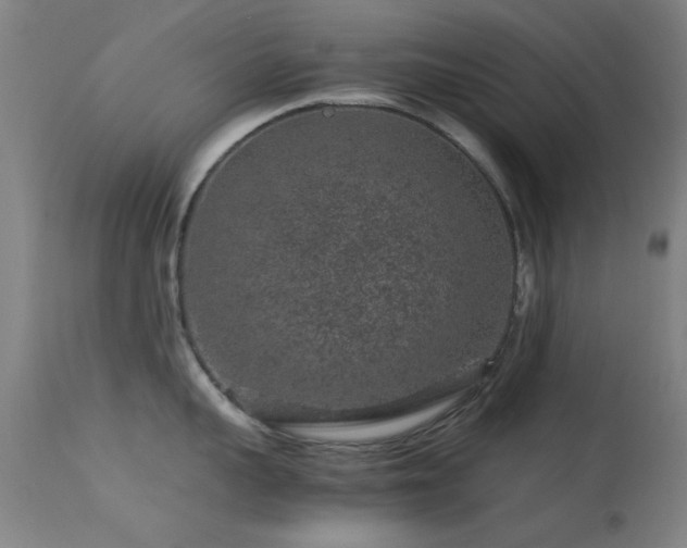 X0000113240959200909171559