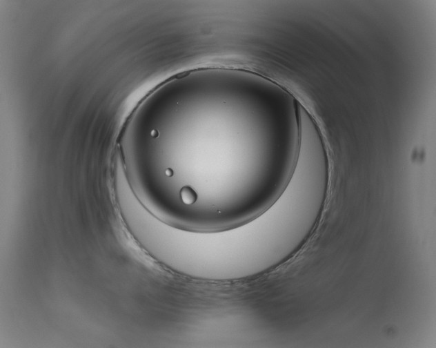 X0000113240960200909171559