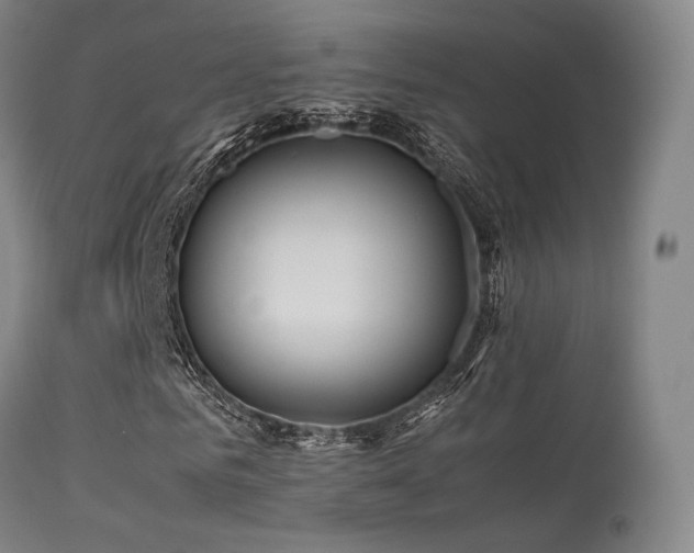 X0000113240961200909171559