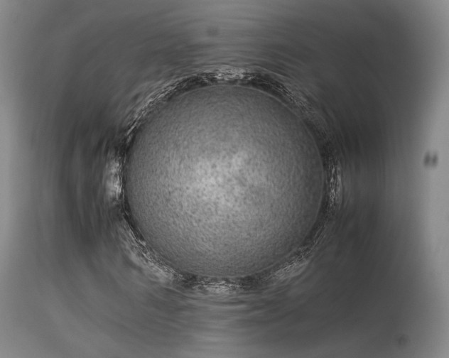 X0000113240962200909171559