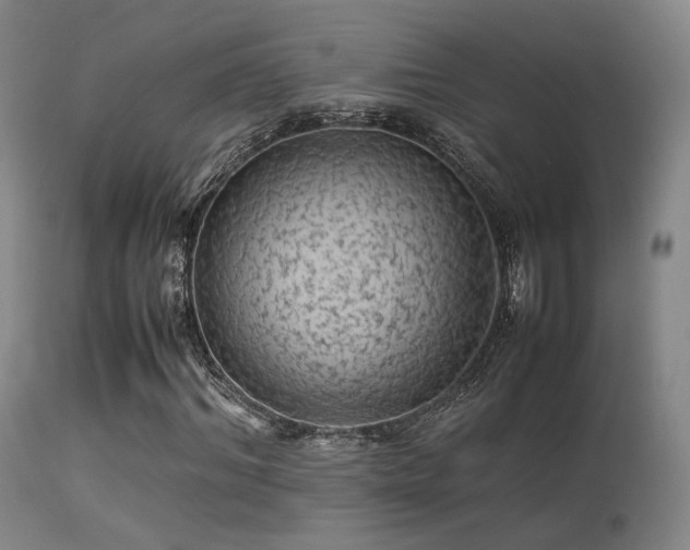 X0000113240964200909171559