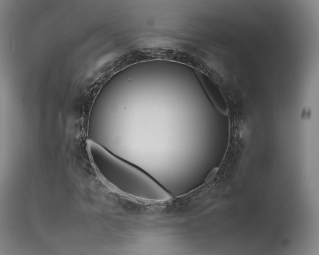 X0000113240965200909171559