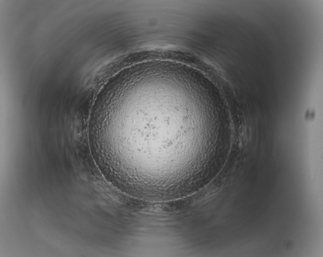 X0000113240966200909171559