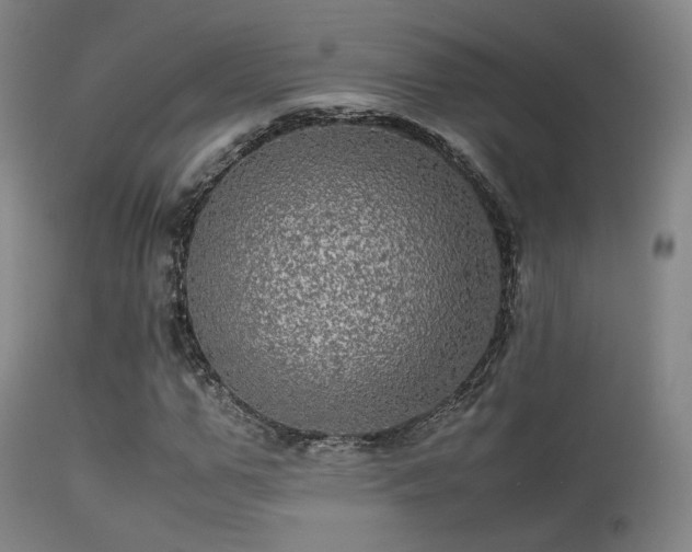 X0000113240967200909171559