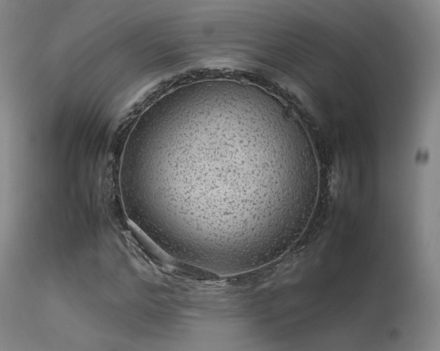 X0000113240968200909171559