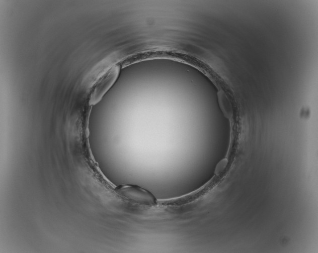 X0000113240969200909171559