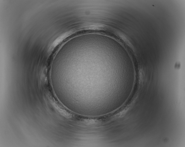 X0000113240970200909171559