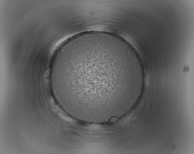 X0000113240971200909171559