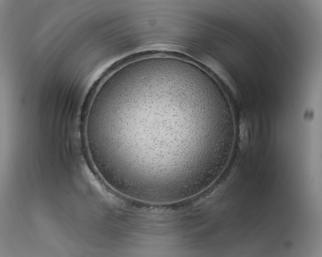 X0000113240972200909171559