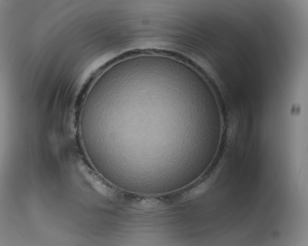 X0000113240974200909171559