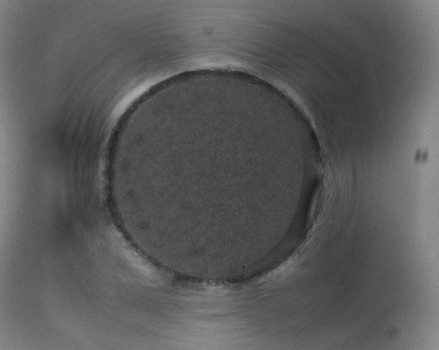 X0000113240975200909171559