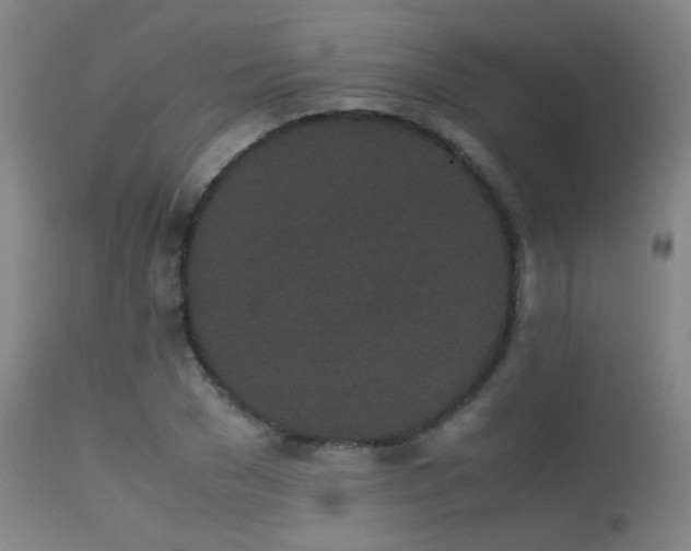 X0000113240977200909171559