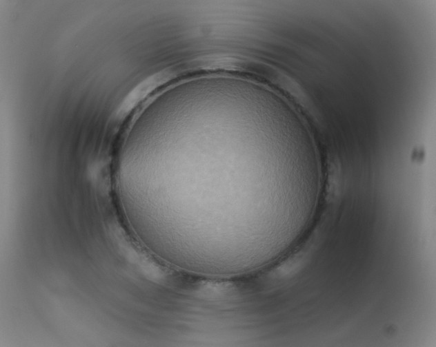 X0000113240978200909171559