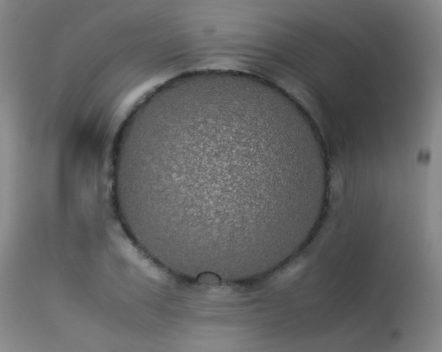 X0000113240979200909171559