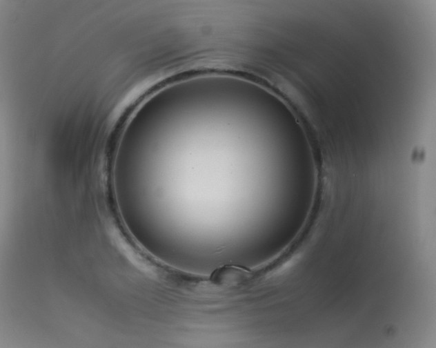 X0000113240981200909171558