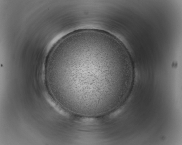 X0000113240982200909171558