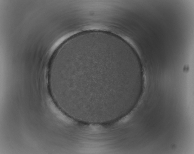 X0000113240983200909171558