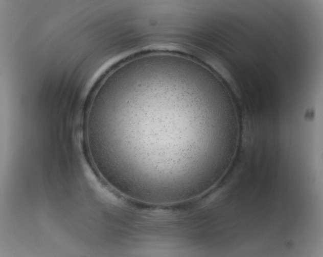 X0000113240984200909171558