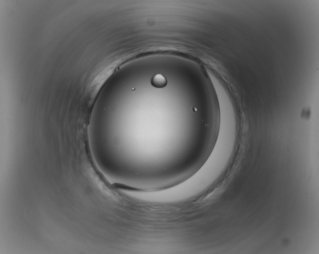 X0000113240985200909171558