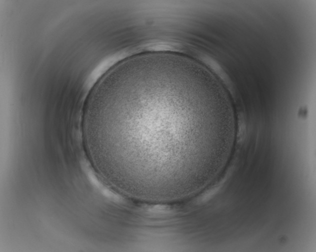 X0000113240986200909171558