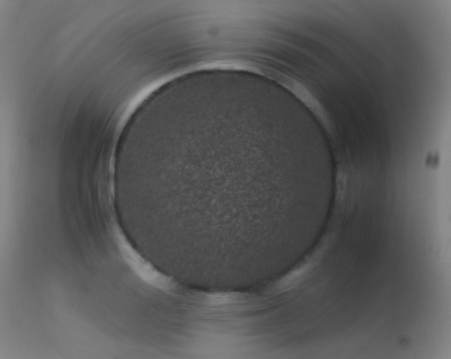 X0000113240988200909171558