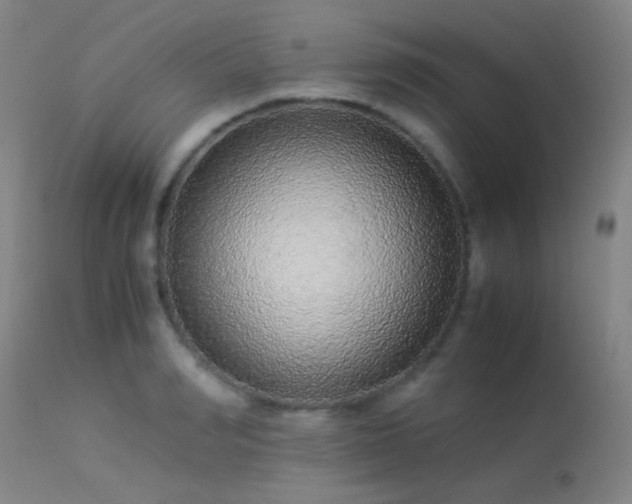 X0000113240990200909171558