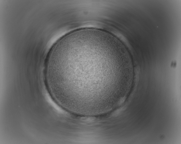 X0000113240991200909171558