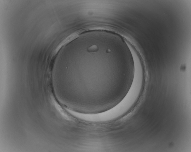 X0000113240993200909171558