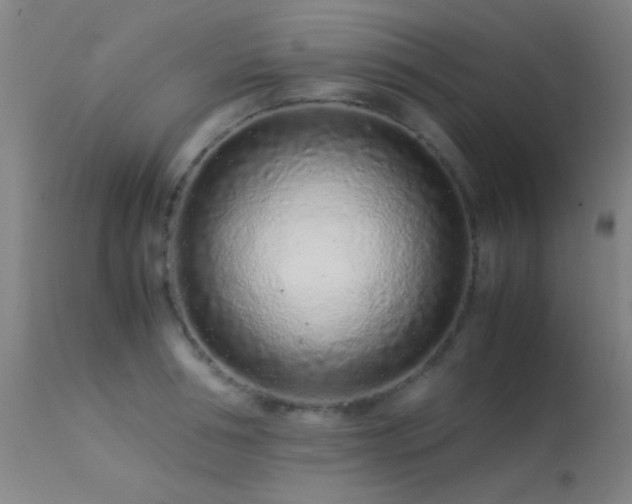 X0000113240994200909171558