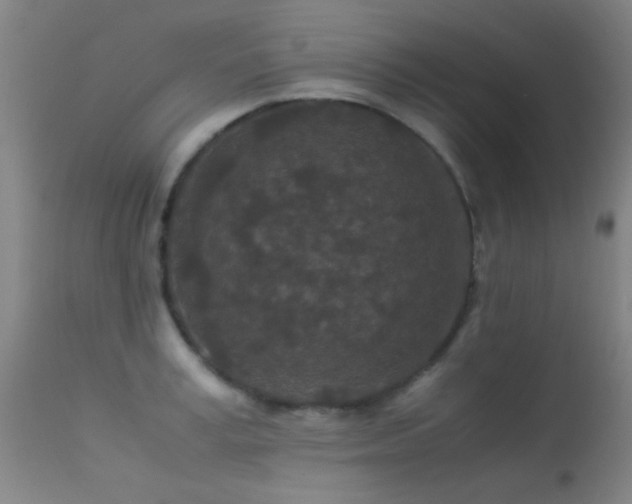 X0000113240995200909171558