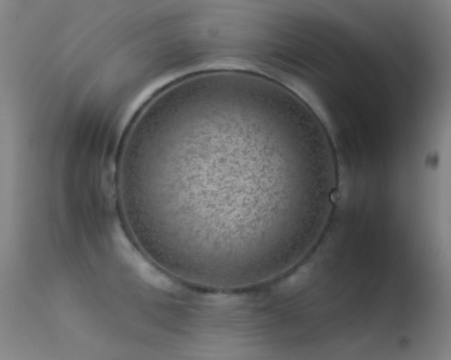 X0000113240996200909171558