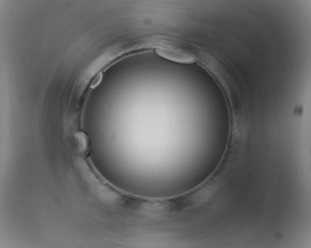 X0000113240997200909171558