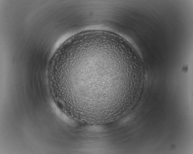 X0000113240998200909171558