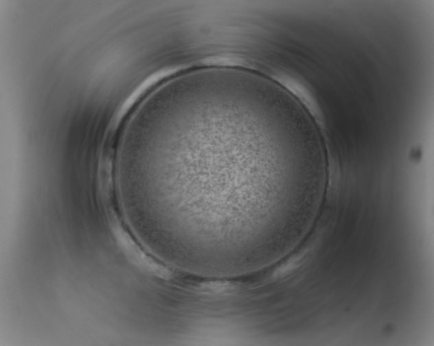 X0000113241000200909171558