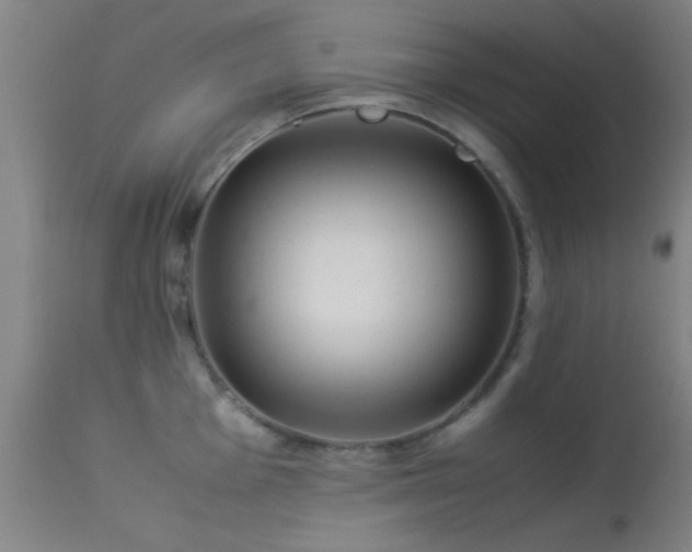 X0000113241001200909171558