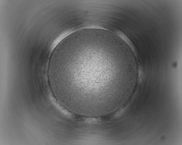 X0000113241002200909171558